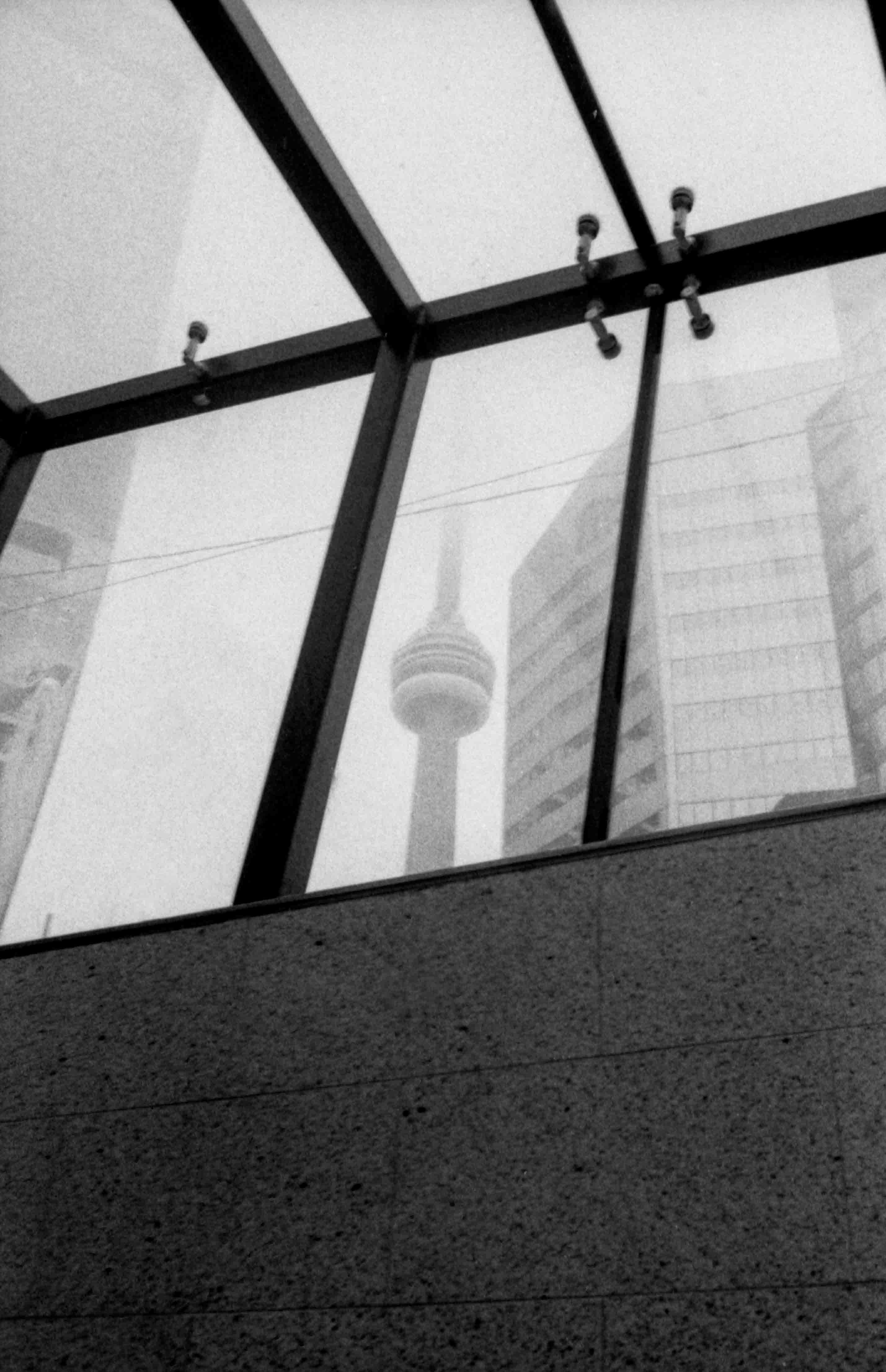 toronto cover